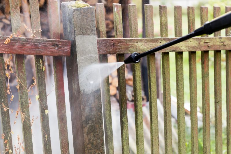 Wrought Iron Fence Cleaning detail