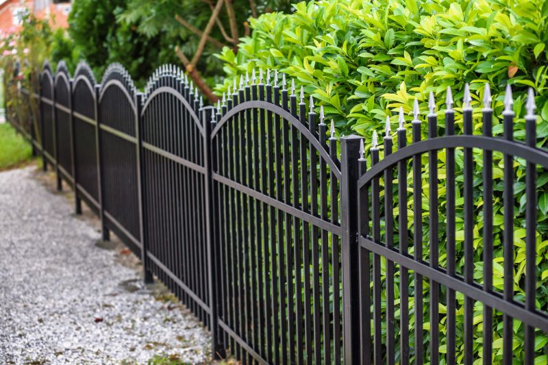 Wrought Iron Fence Cleaning detail