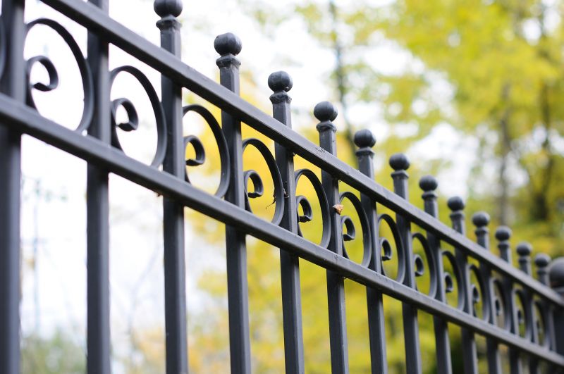 Wrought Iron Fence Cleaning detail