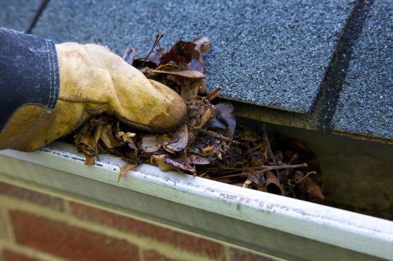 Gutter Blockage Removal in Rochester, NY