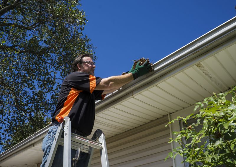 Gutter Leaf Clearing in Long Island, NY