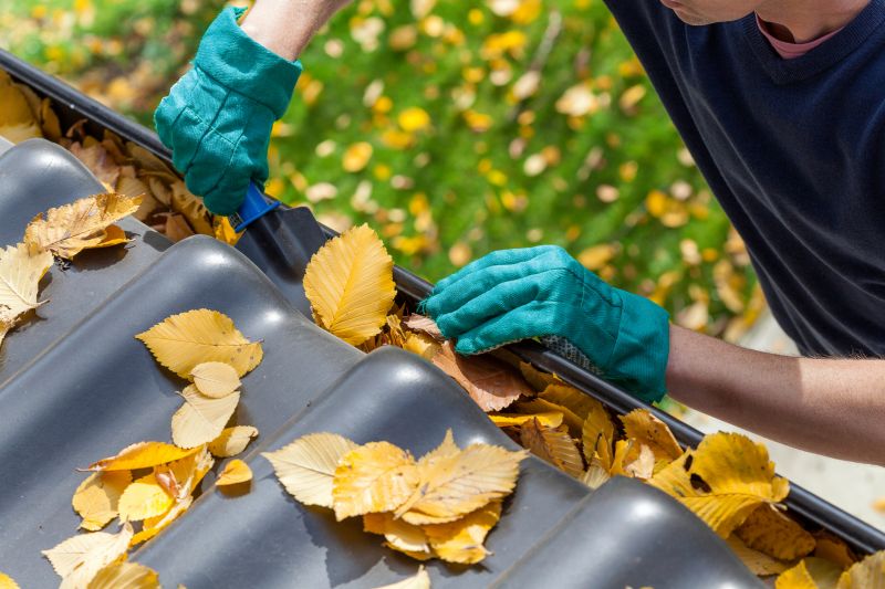 Gutter Leaves Removal in Monmouth County, NJ