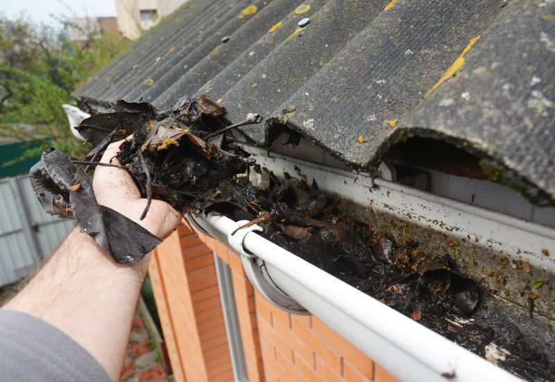 Gutter Leaves Removal in Bergen County, NJ