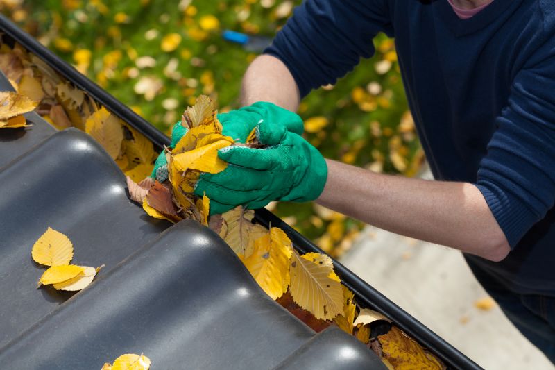 Gutter Leaves Removal in Arvada, CO