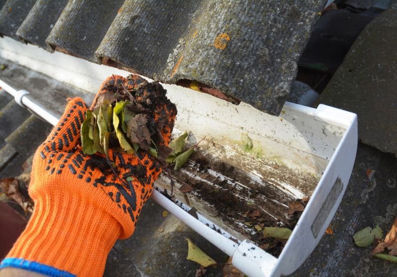 Rain Gutter Clearing in Long Island, NY